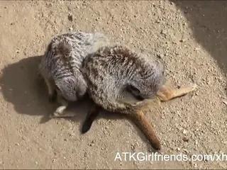 Mary Jane Mayhem kriegt eine Spermaladung nach virtuellen Date