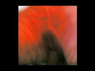 Erst bläst sie dann wird gefickt