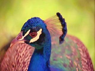 Die besten Pornos aus den 70er Jahren