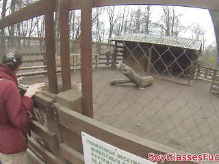 Europäisches Babe bläst und fickt in pov